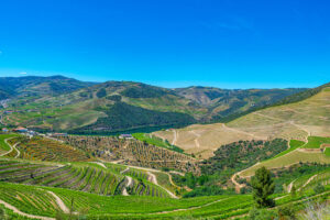 I migliori Paesi per le vacanze degli amanti del vino? Portogallo, Moldavia e Italia, secondo Bounce