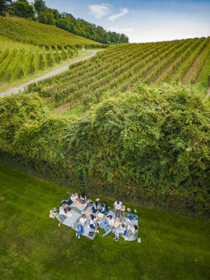 Il “Festival Franciacorta in Cantina” firmato dal Consorzio, pioniere dei “festival di territorio”
