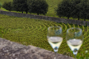 International promotion and major events in the territory, the Franciacorta “case history”