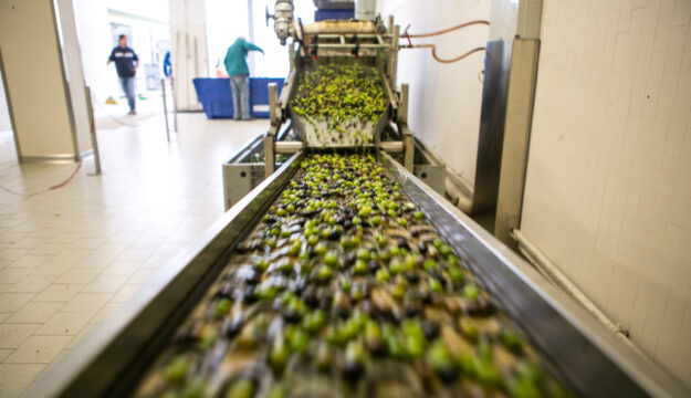 Frantoi, 40 milioni a tasso zero per dare liquidit&agrave;. Coldiretti: &ldquo;solo a chi fa olio italiano&rdquo;