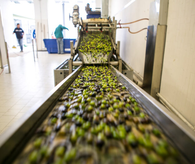 Frantoi, 40 milioni a tasso zero per dare liquidit&agrave;. Coldiretti: &ldquo;solo a chi fa olio italiano&rdquo;