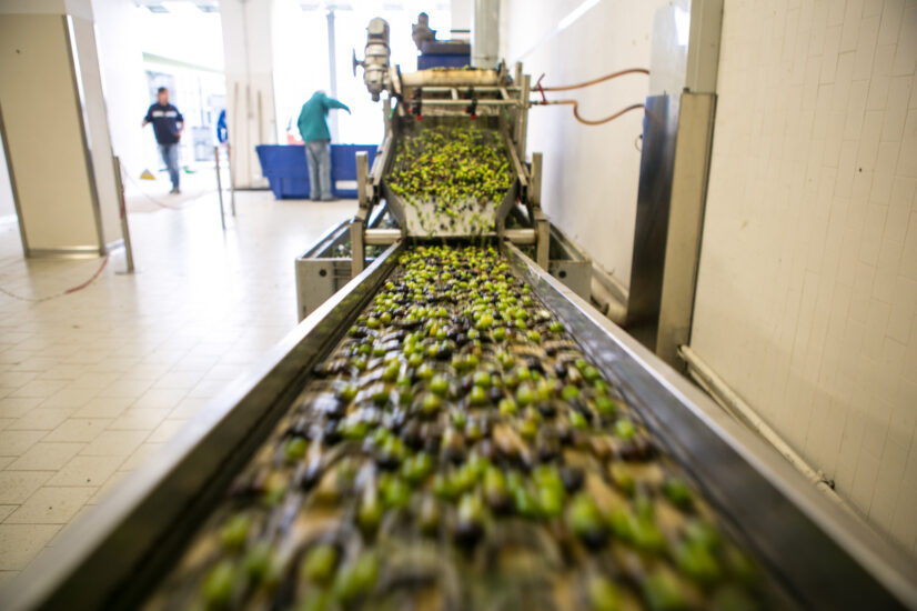 Una nuova figura professionale per un settore-chiave della nostra agricoltura  