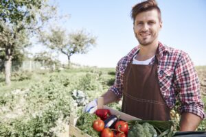 Più tempo all’imprenditore agricolo professionista per dimostrare i requisiti reddituali Più tempo all’imprenditore agricolo professionista per dimostrare i requisiti reddituali