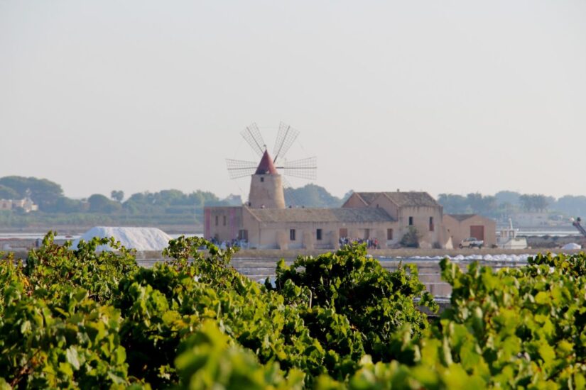 “Insolito Marsala”, nuovo Festival ibrido e diffuso tra idee, professionalità, settori e vino a Marsala
