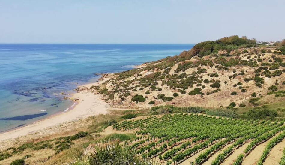 “Inycon”, la storica festa che celebra la cultura enogastronomica del territorio di Menfi