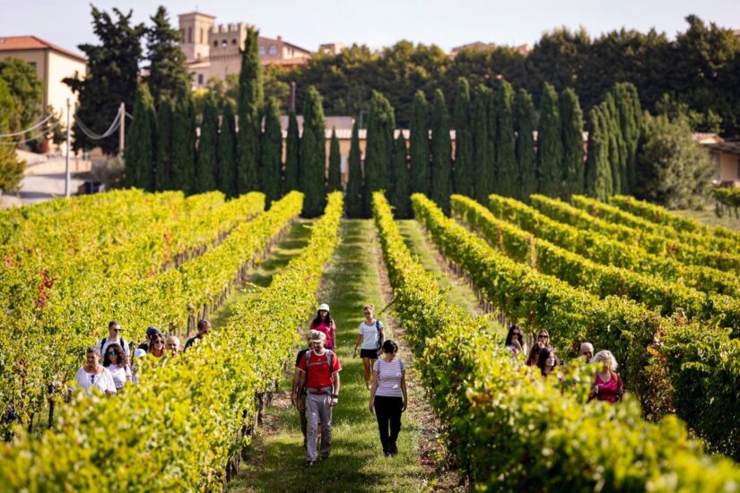Il Sagrantino, portato alla ribalta da Caprai, è il protagonista di “Enologica Montefalco” 