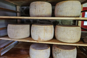 Osteria Magona, Pecorino Riserva Magona