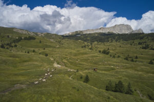 Nasce il Presidio Slow Food dei prati stabili e dei pascoli, simbolo dell’equilibrio uomo-natura