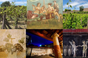 Vines will continue to be cultivated in Pompeii, as they have been for centuries, thanks to Feudi di San Gregorio