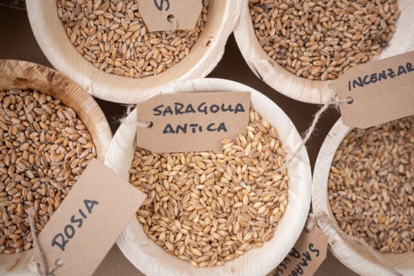 Credit: Alessandro Vargiu 