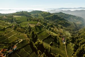 Monferrato, tempo di vendemmia, tempo di “Douja d’Or” n. 58 e del primo “Barbera Wine Festival”