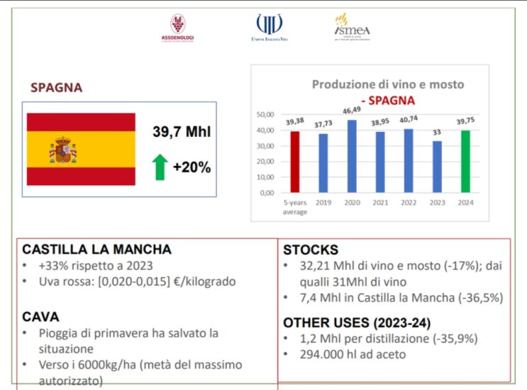 Vendemmia 2024, le stime in Europa e nel mondo 
