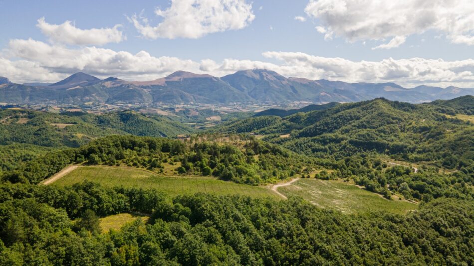 Nasce il distretto delle “bollicine dell’Appennino”