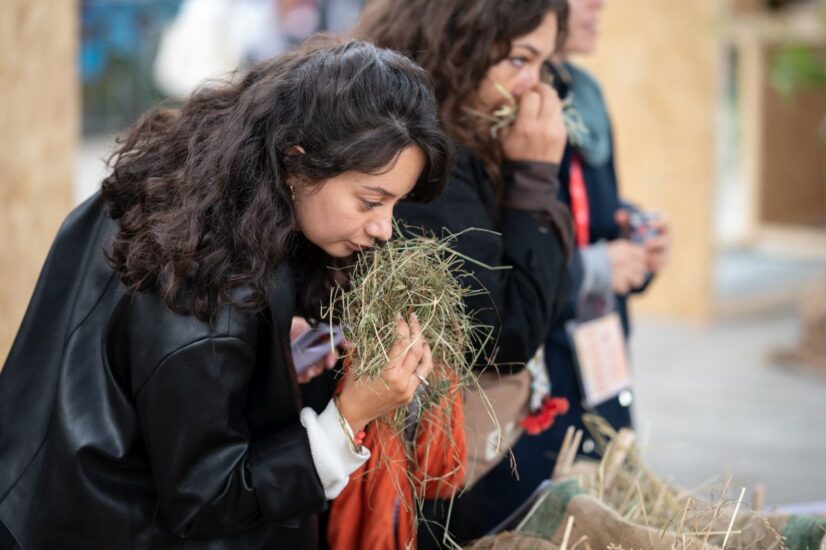 Terra Madre Salone del Gusto (ph: Alessandro Vargiu)