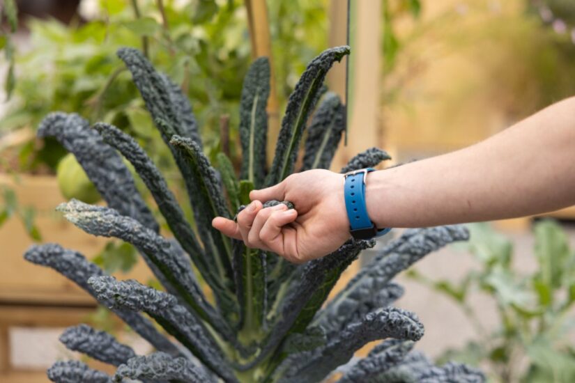 Terra Madre Salone del Gusto 2024 a Torino (ph: Alessandro Vargiu)