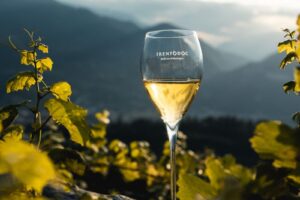 Amanti delle bollicine (e della montagna)? È tempo del “Trentodoc Festival” a Trento