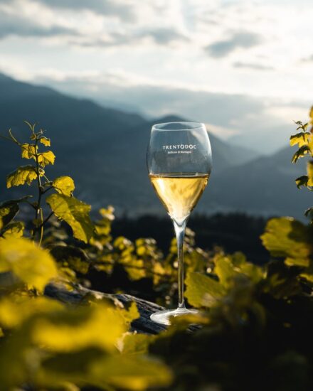 Il “Trentodoc Festival” a Trento, la più ricca celebrazione del Metodo Classico di montagna 