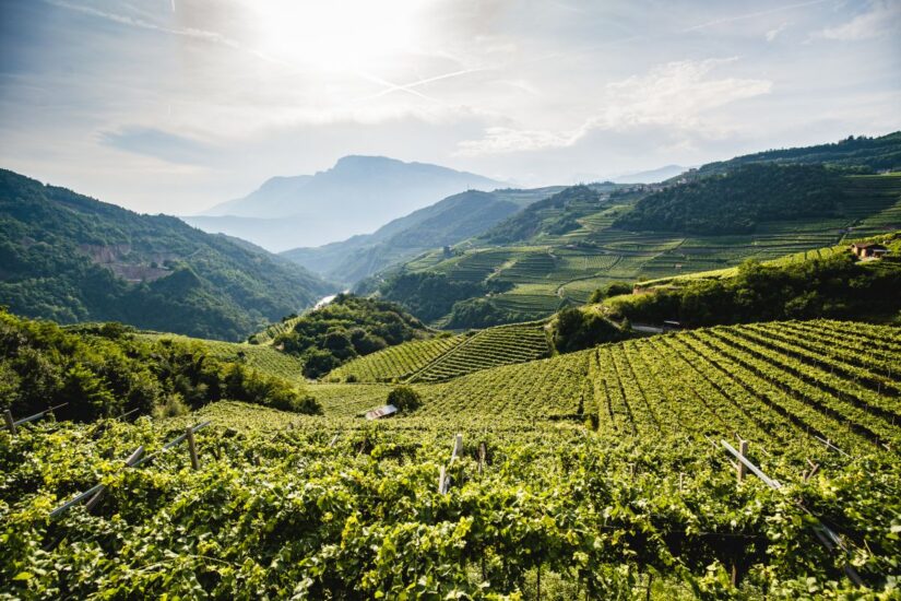 Viaggio WineNews in Trentino, per il “Trentodoc Festival” (ph: Alice Russolo)