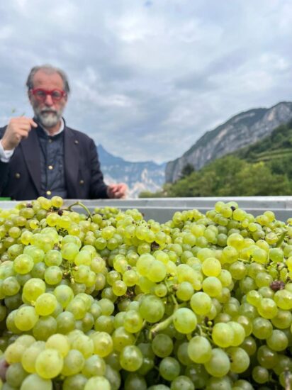 Viaggio WineNews in Trentino, per il “Trentodoc Festival”