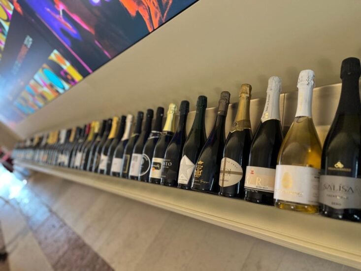 Viaggio WineNews in Trentino, per il “Trentodoc Festival”