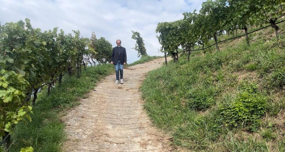 Viaggio WineNews in Trentino, per il “Trentodoc Festival”