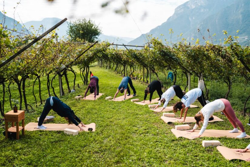 Viaggio WineNews in Trentino, per il “Trentodoc Festival”