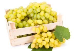 L’uva da tavola biologica è in crescita, l’Italia ne produce attorno alle 150.000 tonnellate