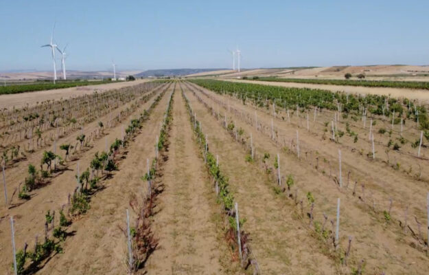 AGRICOLTORI, AIUTI UE, CLIMA, Commissione Agricoltura, COMMISSIONE EUROPEA, EVENTI ESTREMI, FONDI UE, UE, Non Solo Vino