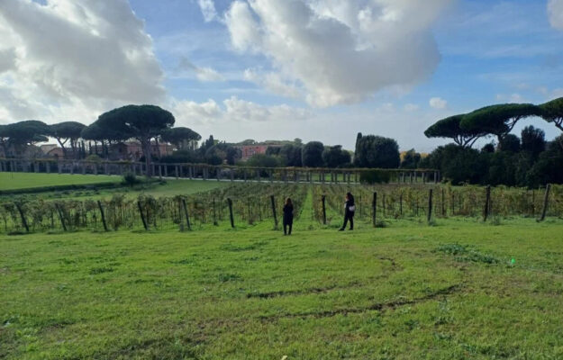 Borgo Laudato si, CASTELLI ROMANI, PAPA FRANCESCO, UNIVERSITA DI UDINE, VIGNA LAUDATO SÌ’, Italia