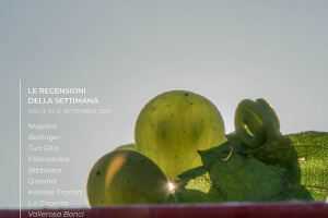 I Vini di WineNews - N. 328