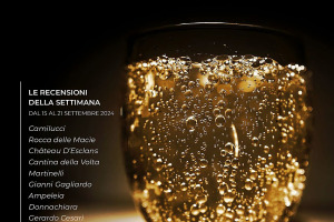 I Vini di WineNews - N. 329