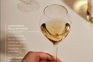 I Vini di WineNews - N. 330