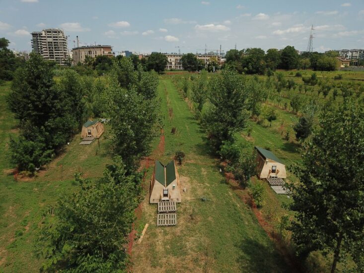 I pollai di SoulFood Forestfarms a Milano (credit: Facebook)