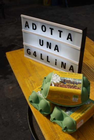 I pollai di SoulFood Forestfarms a Milano (credit: Facebook)