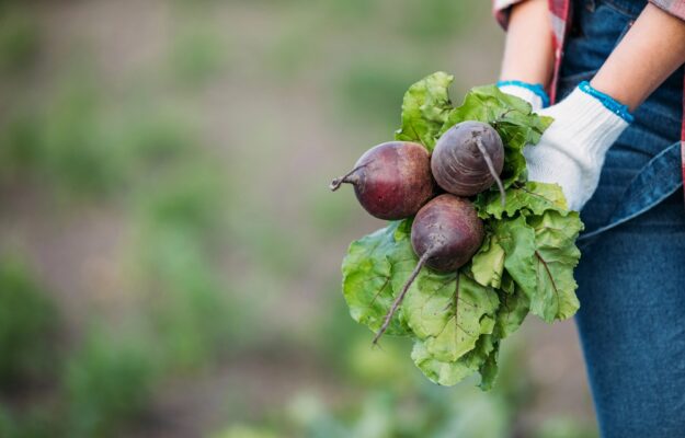 AGRICOLTURA, GREENPEACE EU, Non Solo Vino