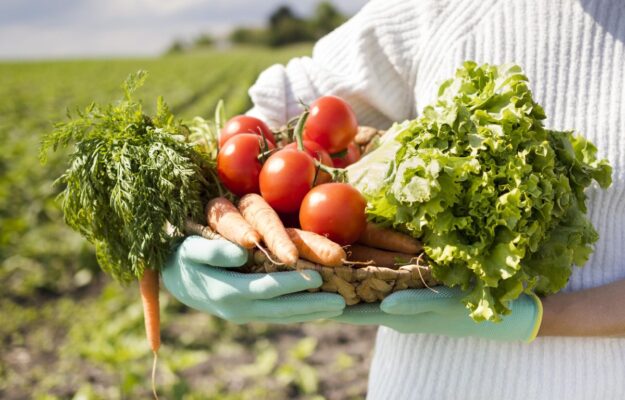 AGRICOLTURA, INDUSTRIA AGROALIMENTARE, OSSERVATORIO HONESTFOOD, PROFITTO, SETTORE PRIMARIO, TRASFORMAZIONE, VALORE DI FILIERA, Non Solo Vino