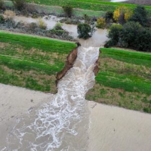 Maltempo: Coldiretti, dai vigneti al grano, molte attività agricole in difficoltà