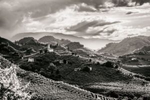 Dalla mostra “Il passo del viandante” by Amorin Cork a Omar Pedrini in concerto da Simonit & Sirch