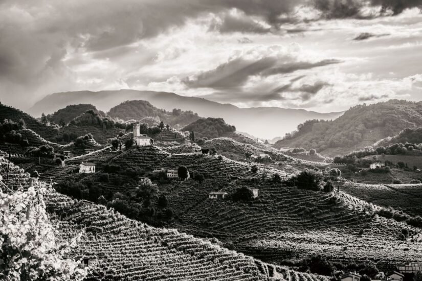 Scatto della mostra dedicata alle Colline del Prosecco Docg da Amorim Cork Italia a Conegliano