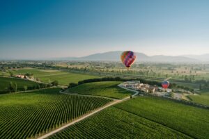 Montefalco, storia di un territorio rinato dal Sagrantino, grazie a Caprai, che guarda al domani Montefalco, storia di un territorio rinato dal Sagrantino, grazie a Caprai, che guarda al domani