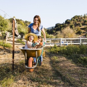 La vacanza in campagna motore del turismo: gli agriturismi puntano a 2 miliardi di euro di fatturato