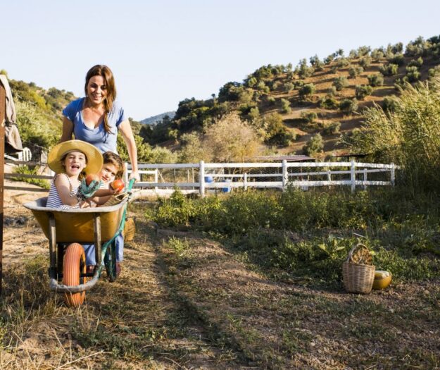La vacanza in campagna motore del turismo: gli agriturismi puntano a 2 miliardi di euro di fatturato