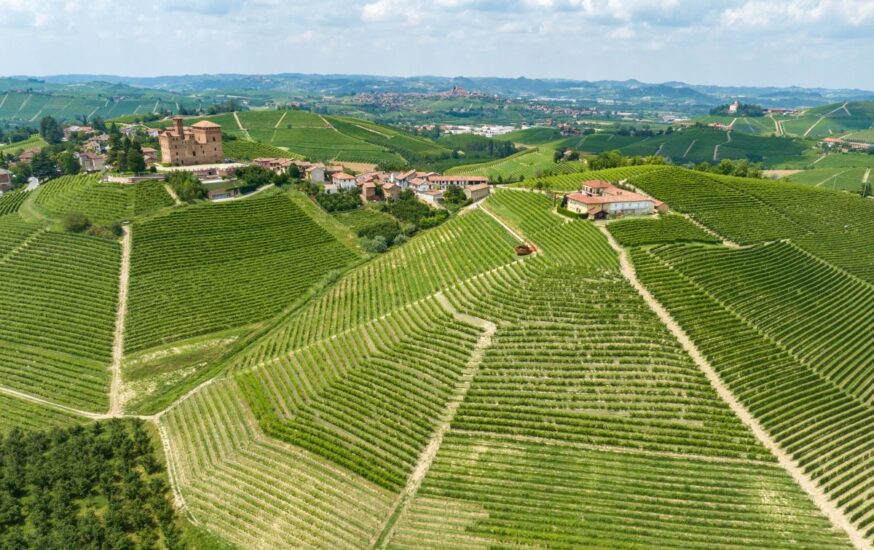“Barolo en primeur”, il 25 ottobre, l’asta charity al Castello di Grinzane Cavour