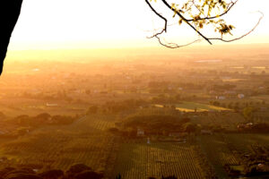 La magia di un territorio, l’intangibile che si ritrova nel calice. Come a Bolgheri