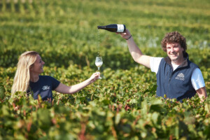 Francia, il gruppo Castel, tra i “top” nel mondo del vino, compra Champagne Malard