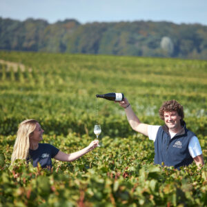 Francia, il gruppo Castel, tra i “top” nel mondo del vino, compra Champagne Malard