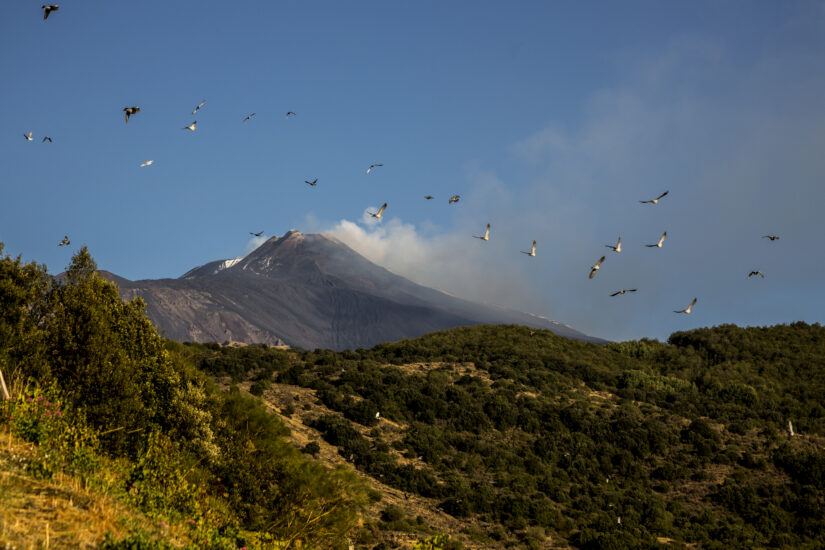 DEGUSTAZIONE, ELEGANZA, ETNA, STILE, SURRISCALDAMENTO CLIMATICO, TERRITORI D'ELEZIONE, Su i Quaderni di WineNews