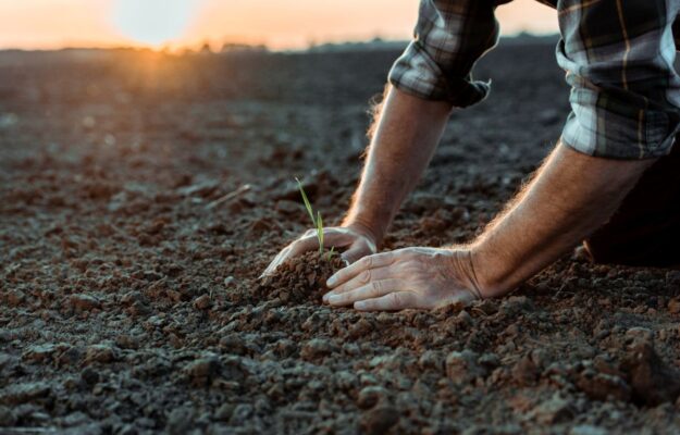 AGRICOLTURA, AGRICOLTURA SOCIALE, Confagricoltura, PREMI, Non Solo Vino