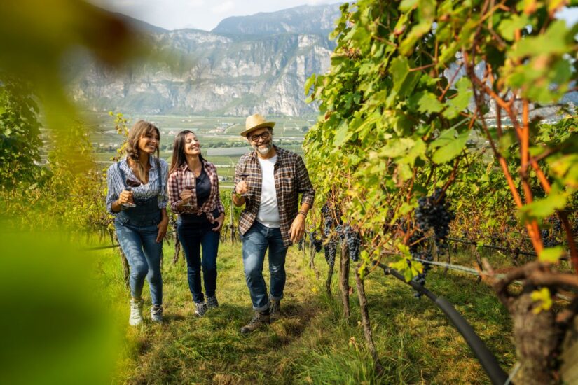 Le Dolomiti del Trentino scenario di “Dolo-Vini-Miti”, il Festival dei “vini verticali” italiani