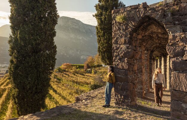 CANTINE, ENOTURISMO, ricerca del personale, Wine Tourism hub, Italia